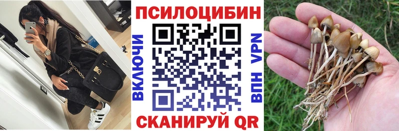 omg зеркало  Бахчисарай  Псилоцибиновые грибы MAGIC MUSHROOMS 