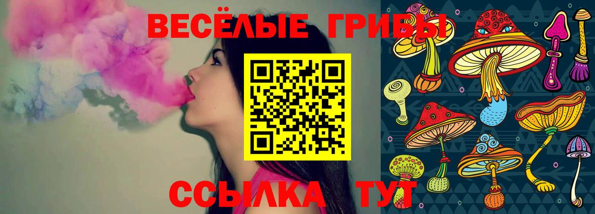 Бахчисарай  Псилоцибиновые грибы Cubensis  Вход с VPN 